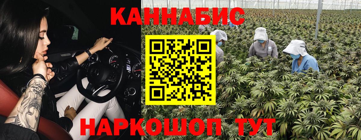 Шишки марихуана сатива Бердск